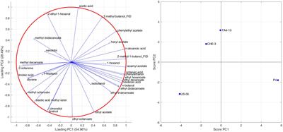 A multivariate approach to explore the volatolomic and sensory profiles of craft Italian Grape Ale beers produced with novel Saccharomyces cerevisiae strains